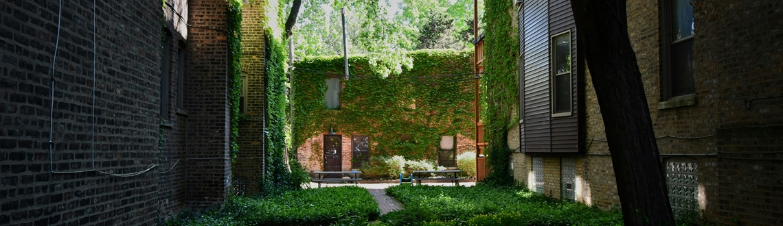 Objava na EOJN: Radovi krajobraznog uređenja za ozelenjivanje dvorišta u sklopu EU projekta „Aktivacija zelenih dvorišta za ugljičnu neutralnost“